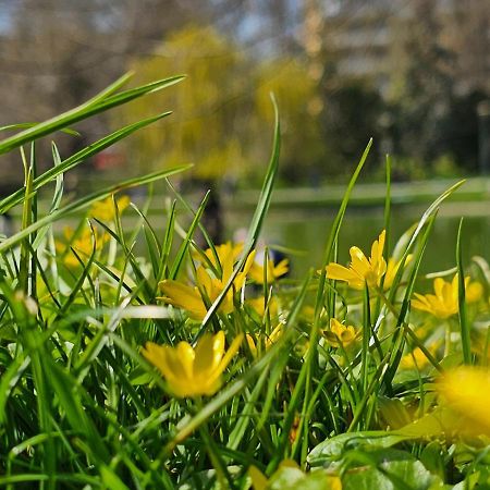 Apartament Central Park Kielce Bagian luar foto